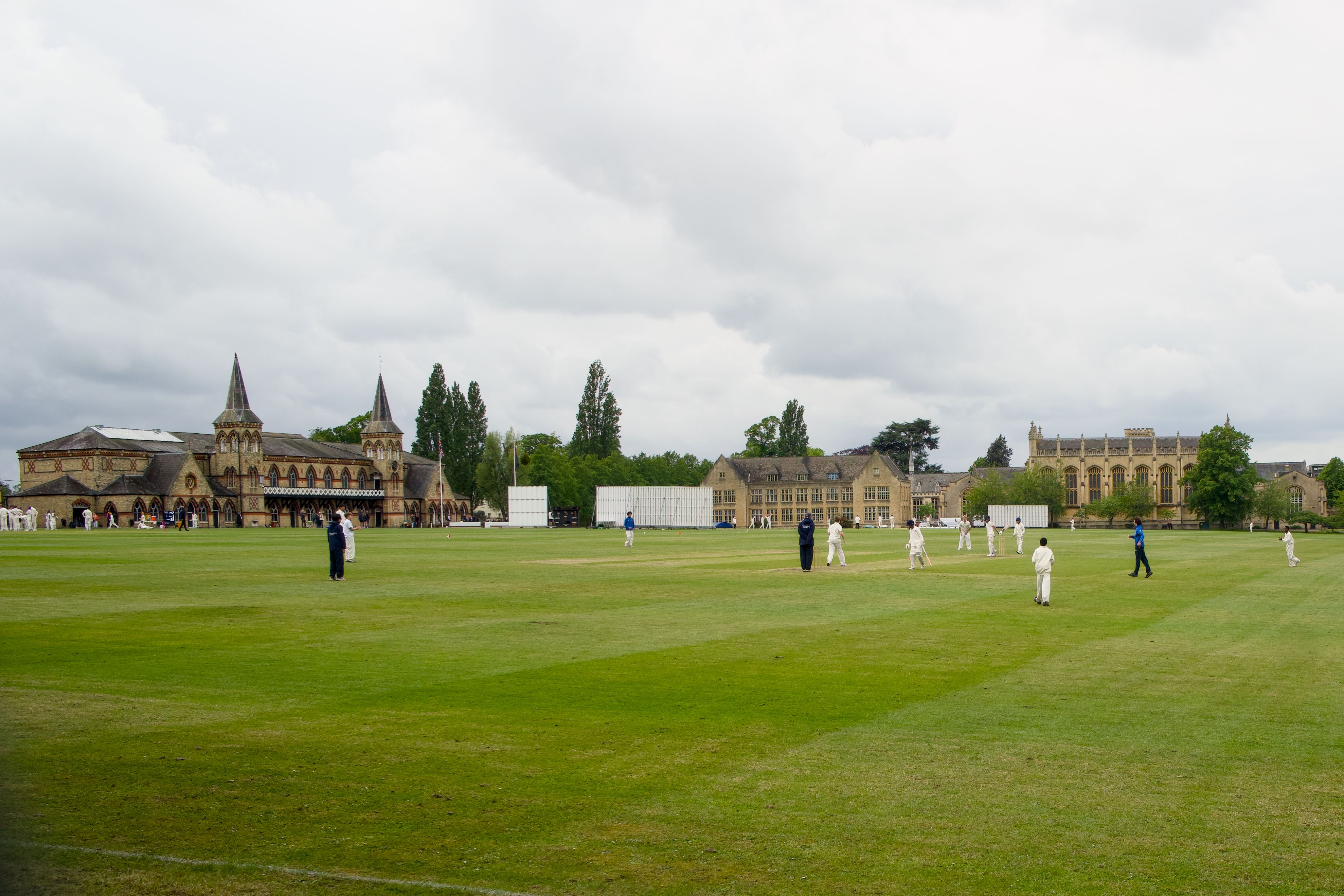 Cricket